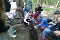 Waldjugendspiele 2025- 19